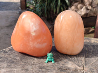 Polished Orange Twist Calcite Standing Free Forms x 2 From Madagascar - Toprock Gemstones and Minerals 