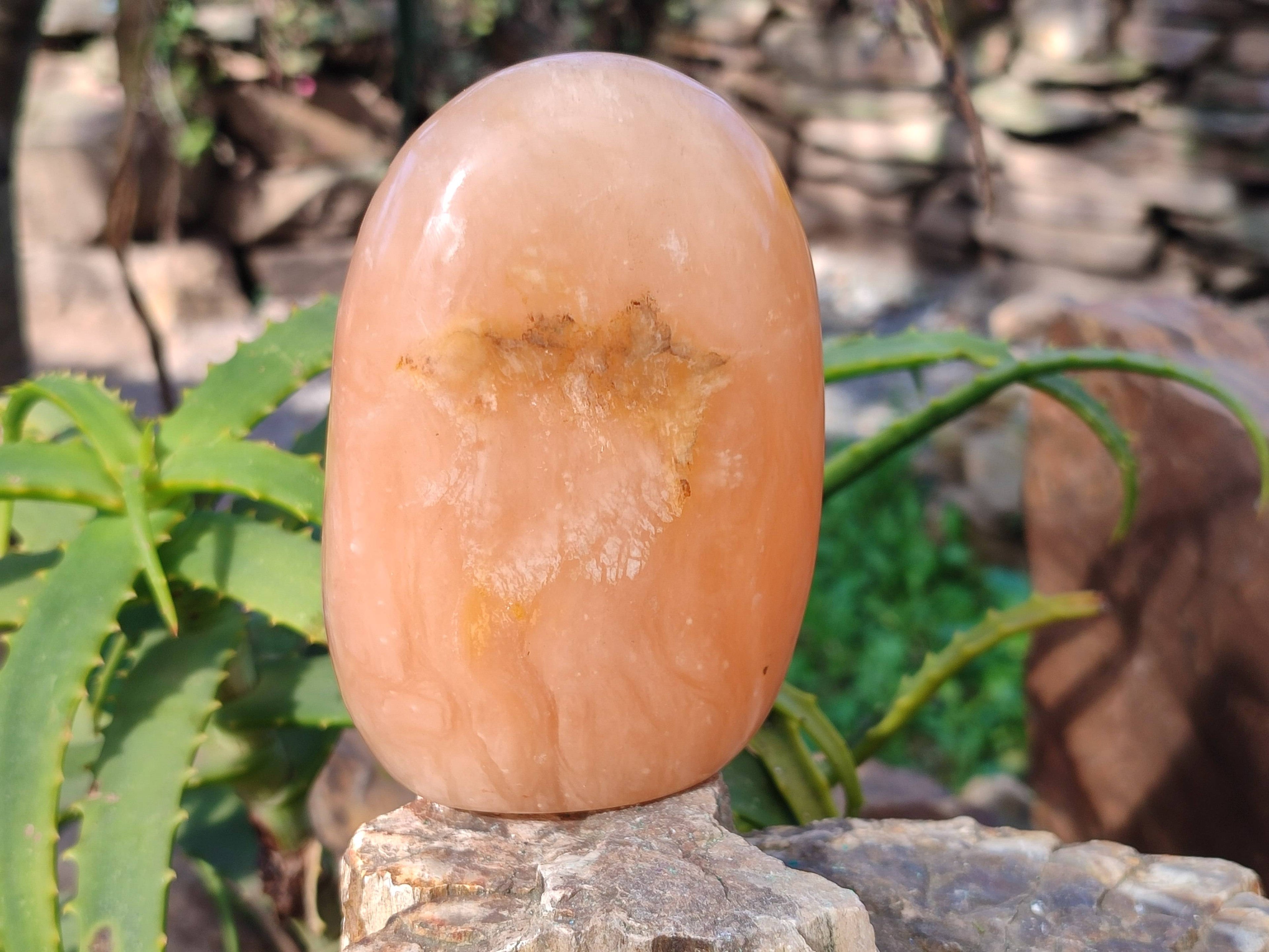 Polished Orange Twist Calcite Standing Free Forms x 2 From Madagascar - Toprock Gemstones and Minerals 