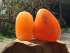 Polished Orange Twist Calcite Standing Free Forms x 2 From Madagascar - Toprock Gemstones and Minerals 
