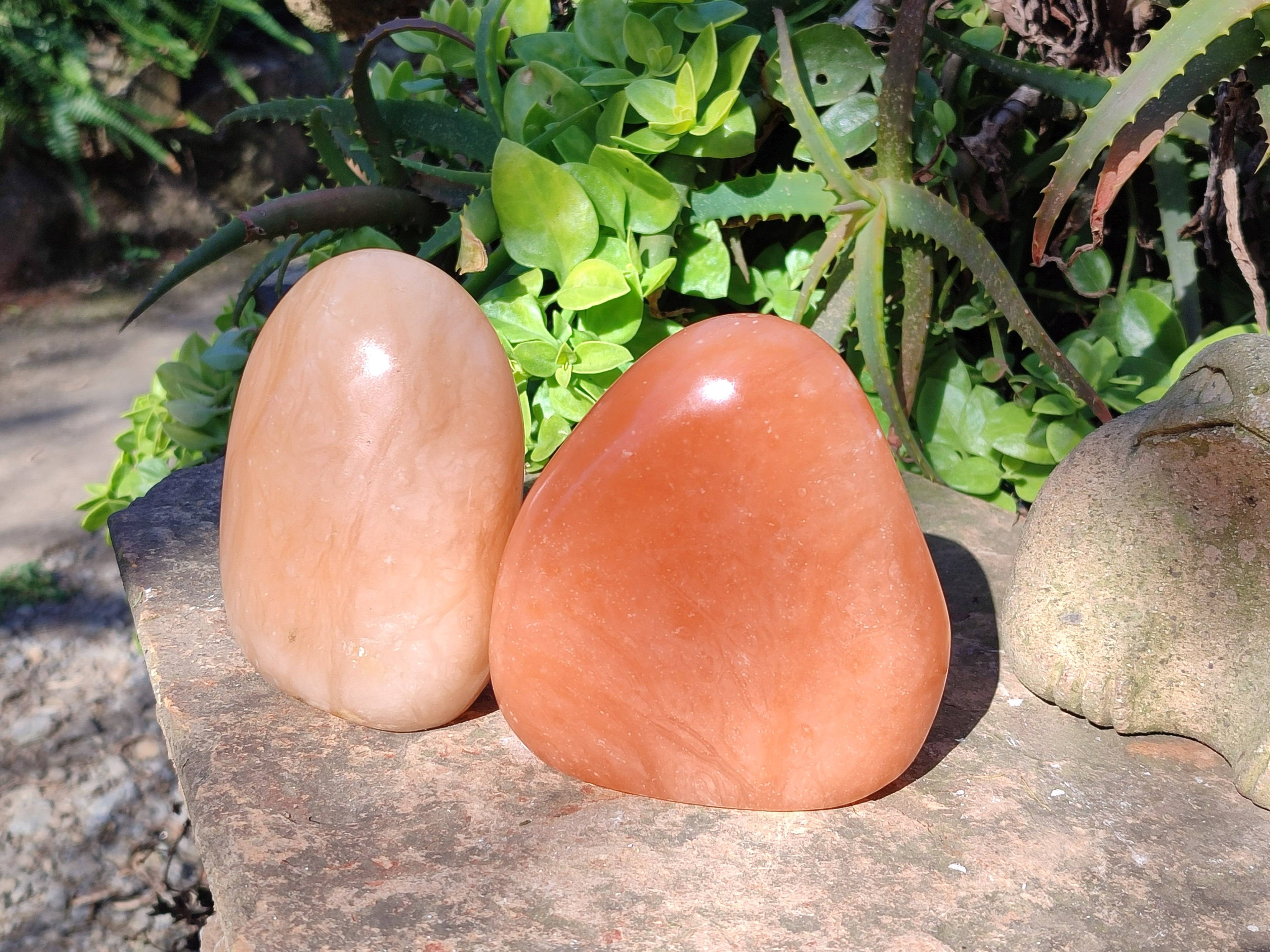 Polished Orange Twist Calcite Standing Free Forms x 2 From Madagascar - Toprock Gemstones and Minerals 