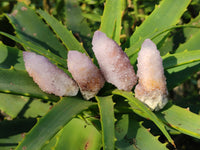 Natural Amethyst Spirit Quartz Specimens x 20 From Boekenhouthoek, South Africa