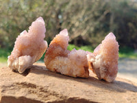 Natural Amethyst Spirit Quartz Specimens x 20 From Boekenhouthoek, South Africa