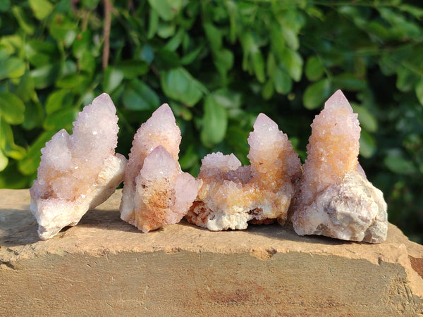 Natural Amethyst Spirit Quartz Specimens x 20 From Boekenhouthoek, South Africa