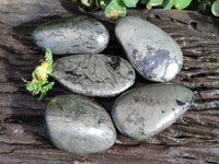Polished Rare Pharaoh Stone Pyrite in Basalt Palm Stones x 5 Iron Duke Mine, Zimbabwe