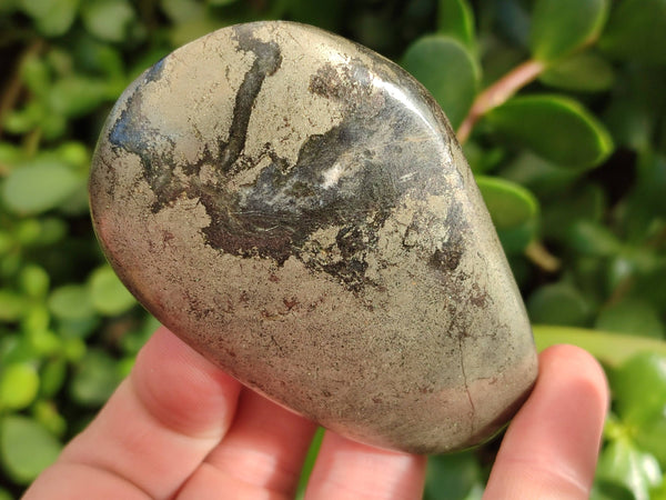 Polished Rare Pharaoh Stone Pyrite in Basalt Palm Stones x 5 Iron Duke Mine, Zimbabwe