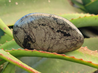 Polished Rare Pharaoh Stone Pyrite in Basalt Palm Stones x 5 Iron Duke Mine, Zimbabwe