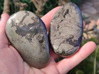 Polished Rare Pharaoh Stone Pyrite in Basalt Palm Stones x 5 Iron Duke Mine, Zimbabwe