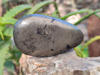 Polished Rare Pharaoh Stone Pyrite in Basalt Palm Stones x 5 Iron Duke Mine, Zimbabwe