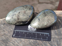 Polished Rare Pharaoh Stone Pyrite in Basalt Palm Stones x 5 Iron Duke Mine, Zimbabwe