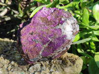 Natural Metallic Purpurite Cobbed Specimens x 6 From Erongo, Namibia