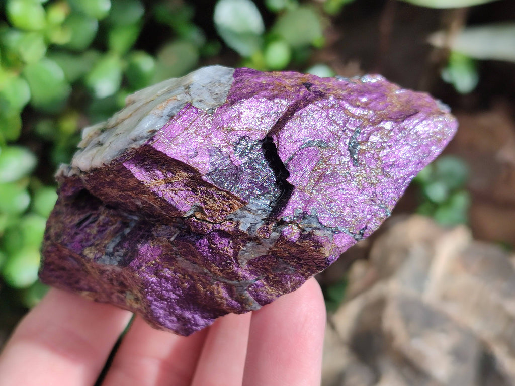 Natural Metallic Purpurite Cobbed Specimens x 6 From Erongo, Namibia - Toprock Gemstones and Minerals 