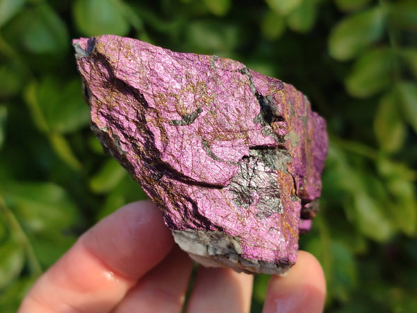 Natural Metallic Purpurite Cobbed Specimens x 6 From Erongo, Namibia