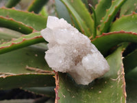 Natural Spirit Quartz Specimens x 12 From Boekenhouthoek, South Africa