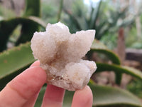 Natural Spirit Quartz Specimens x 12 From Boekenhouthoek, South Africa