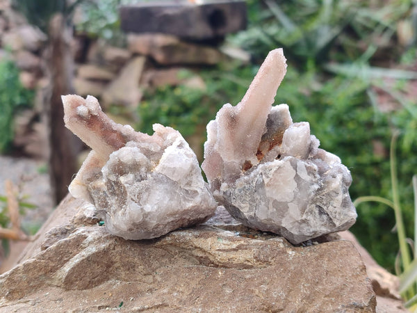 Natural Spirit Quartz Specimens x 12 From Boekenhouthoek, South Africa
