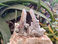 Natural Spirit Quartz Specimens x 12 From Boekenhouthoek, South Africa