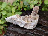 Natural Spirit Quartz Specimens x 12 From Boekenhouthoek, South Africa