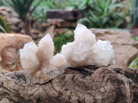 Natural Spirit Quartz Specimens x 12 From Boekenhouthoek, South Africa