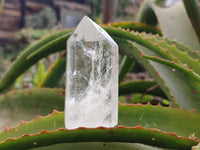 Polished Clear Quartz Crystals x 6 From Madagascar - Toprock Gemstones and Minerals 