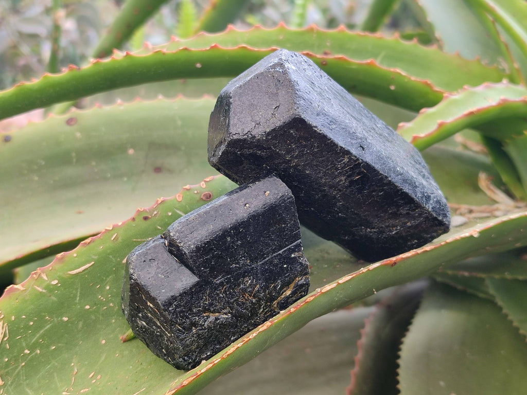 Natural Schorl Black Tourmaline Specimens x 12 From Zimbabwe - Toprock Gemstones and Minerals 