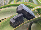 Natural Schorl Black Tourmaline Specimens x 12 From Zimbabwe - Toprock Gemstones and Minerals 