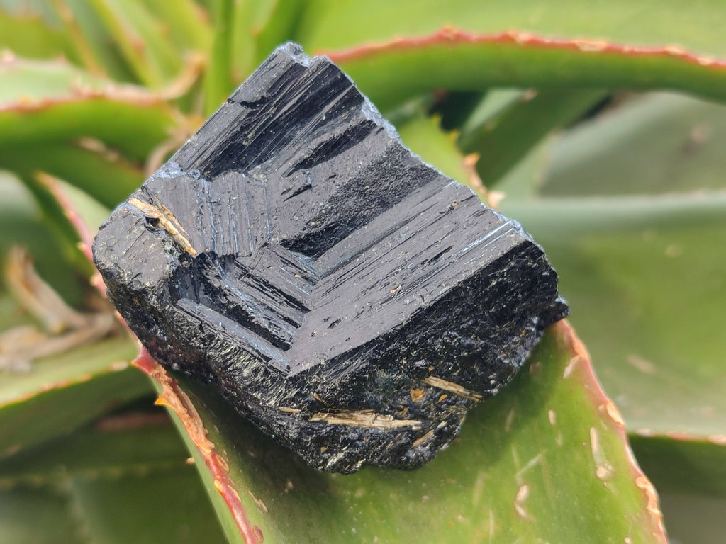 Natural Schorl Black Tourmaline Specimens x 12 From Zimbabwe - Toprock Gemstones and Minerals 