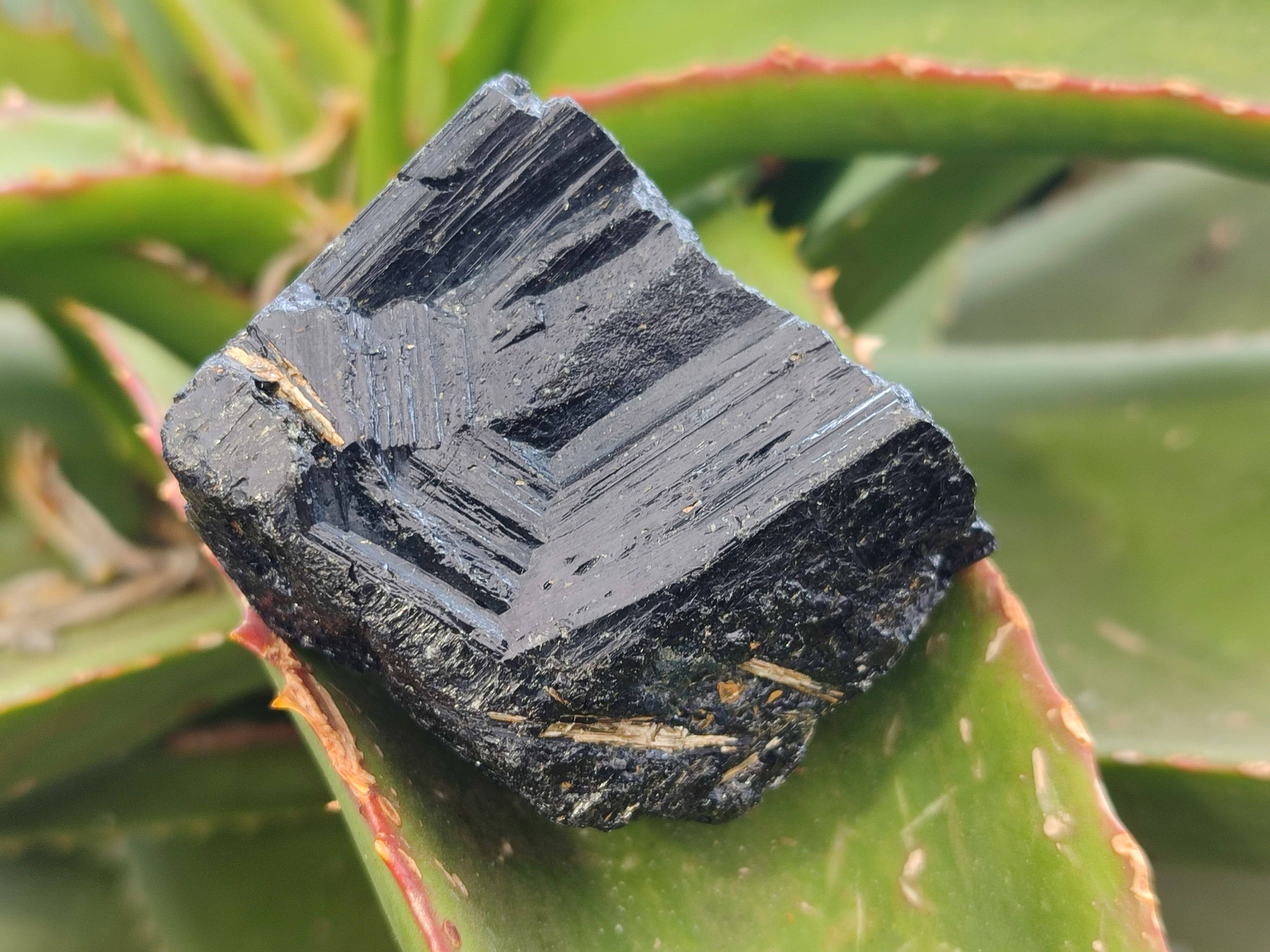 Natural Schorl Black Tourmaline Specimens x 12 From Zimbabwe - Toprock Gemstones and Minerals 