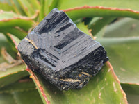 Natural Schorl Black Tourmaline Specimens x 12 From Zimbabwe