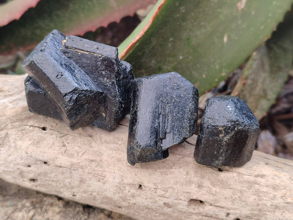 Natural Schorl Black Tourmaline Specimens x 12 From Zimbabwe - Toprock Gemstones and Minerals 