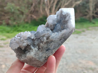 Polished Celestite Points x 2 From Sakoany, Madagascar