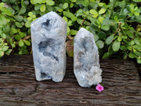 Polished Celestite Points x 2 From Sakoany, Madagascar