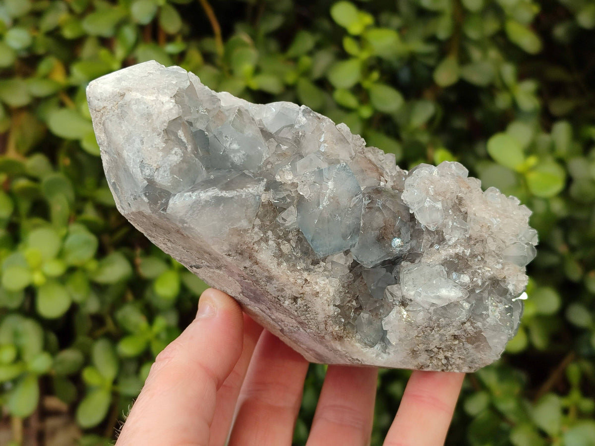 Polished Celestite Points x 2 From Sakoany, Madagascar - Toprock Gemstones and Minerals 
