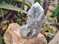 Polished Celestite Points x 2 From Sakoany, Madagascar