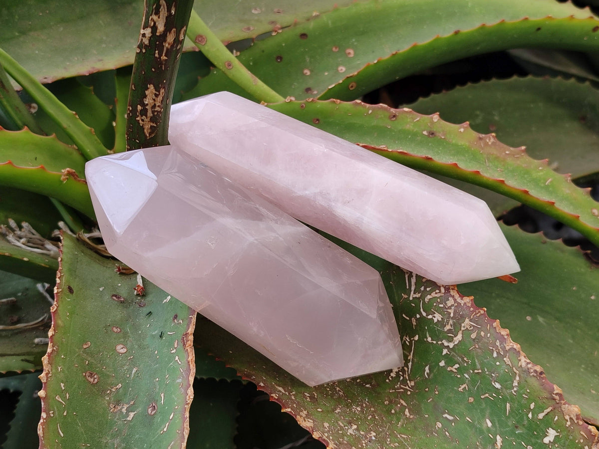 Polished Double Terminated Rose Quartz Points x 4 From Madagascar - Toprock Gemstones and Minerals 