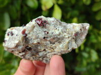 Natural Red Pyrope Garnet Crystals in Quartz Feldspar Matrix x 15 From Namibia