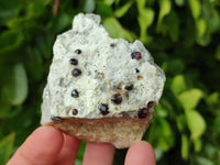 Natural Red Pyrope Garnet Crystals in Quartz Feldspar Matrix x 15 From Namibia