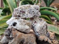 Natural Red Pyrope Garnet Crystals in Quartz Feldspar Matrix x 15 From Namibia