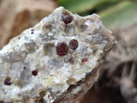 Natural Red Pyrope Garnet Crystals in Quartz Feldspar Matrix x 15 From Namibia