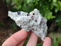 Natural Red Pyrope Garnet Crystals in Quartz Feldspar Matrix x 15 From Namibia