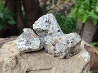 Natural Red Pyrope Garnet Crystals in Quartz Feldspar Matrix x 15 From Namibia