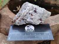 Natural Red Pyrope Garnet Crystals in Quartz Feldspar Matrix x 15 From Namibia