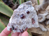 Natural Red Pyrope Garnet Crystals in Quartz Feldspar Matrix x 15 From Namibia