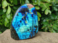 Polished Labradorite Standing Free Forms x 4 From Tulear, Madagascar - Toprock Gemstones and Minerals 