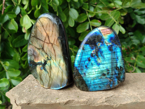 Polished Labradorite Standing Free Forms x 4 From Tulear, Madagascar - Toprock Gemstones and Minerals 