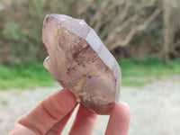 Natural Smokey Amethyst Quartz Crystals x 9 From Brandberg, Namibia