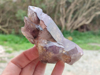 Natural Smokey Amethyst Quartz Crystals x 9 From Brandberg, Namibia