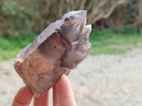 Natural Smokey Amethyst Quartz Crystals x 9 From Brandberg, Namibia