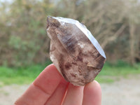 Natural Smokey Amethyst Quartz Crystals x 9 From Brandberg, Namibia