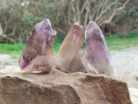 Natural Smokey Amethyst Quartz Crystals x 9 From Brandberg, Namibia