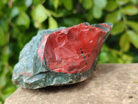 Natural Bloodstone Cobbed Specimens x 12 From Swaziland